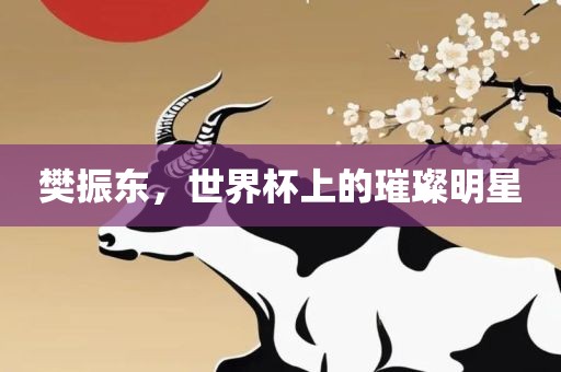 樊振东，世界杯上的璀璨明星