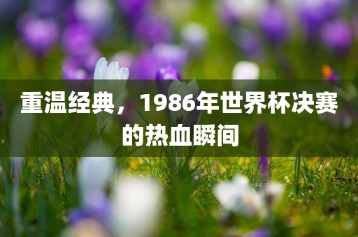 重温经典，1986年世界杯决赛的热血瞬间广西贺州市华昌新材料有限公司