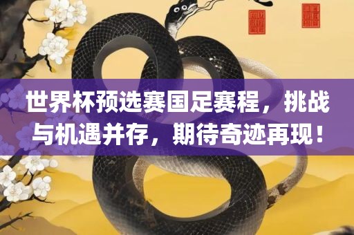 世界杯预选赛国足赛程，挑战与机遇并存，期待奇迹再现！广西贺州市华昌新材料有限公司