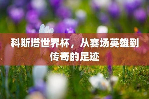 科斯塔世界杯，广西贺州市华昌新材料有限公司从赛场英雄到传奇的足迹