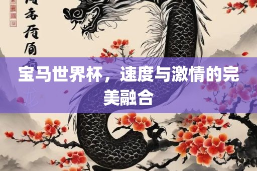 宝马世界杯，速度与激情的完美融合