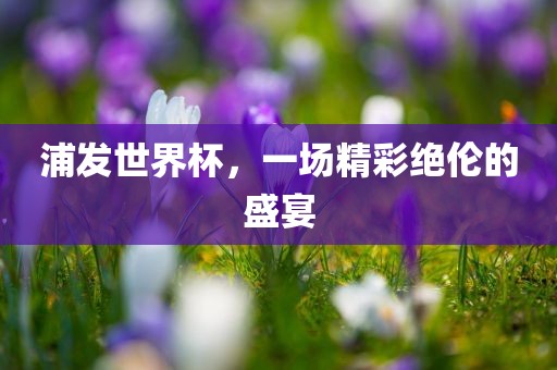 浦发世界杯，一场精彩绝伦的盛宴广西贺州市华昌新材料有限公司