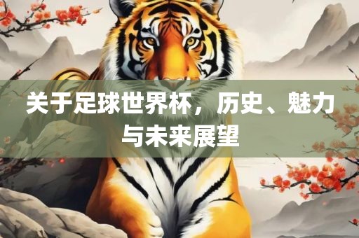 关于足球世界杯，历史、魅力与未来展望广西贺州市华昌新材料有限公司