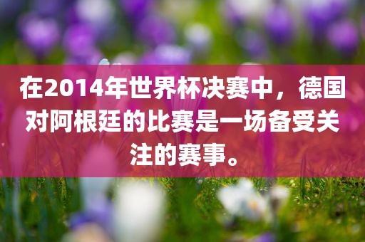 在2014年世界杯决赛中，德国对阿根廷的比赛是一场备受关注的赛事。广西贺州市华昌新材料有限公司