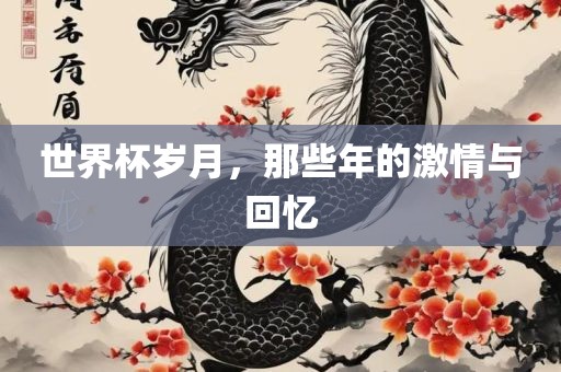世界杯岁月，那些年的激情与回忆