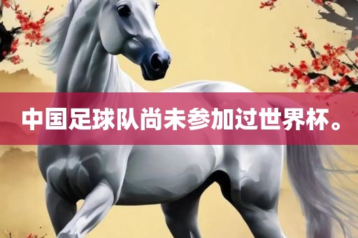 中国足球队尚未参加过世界杯。广西贺州市华昌新材料有限公司