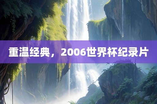 重广西贺州市华昌新材料有限公司温经典，2006世界杯纪录片