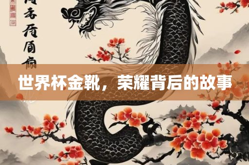 世界杯金靴，荣耀背后的故事
