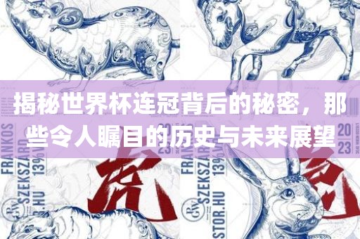 揭秘世界杯连冠背后的秘密，那些令人瞩目的历史与未来展望广西贺州市华昌新材料有限公司