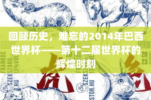 回顾历史，难忘的2014年巴西世界杯——第十二届世界杯的辉煌时刻广西贺州市华昌新材料有限公司