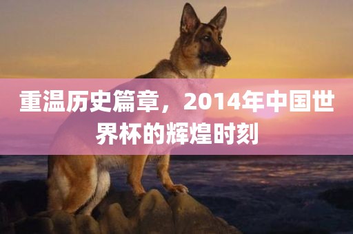 重温历史篇章，2014年中国世界杯的辉煌时刻广西贺州市华昌新材料有限公司