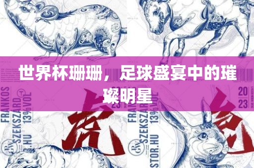 世界杯珊珊，足球盛宴中的璀璨明星