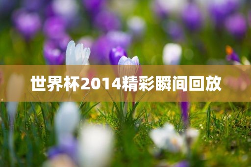 世界杯2014精彩瞬间回放