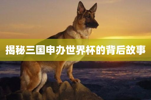 揭秘三国申办世界杯的背后故事广西贺州市华昌新材料有限公司