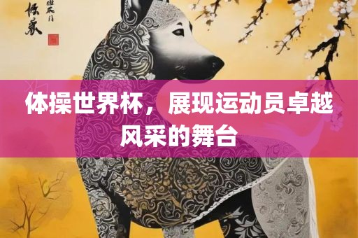 体操世界杯，展现运动员卓越风采的舞台广西贺州市华昌新材料有限公司