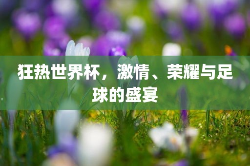 狂热世界杯，激情、荣耀与足球广西贺州市华昌新材料有限公司的盛宴