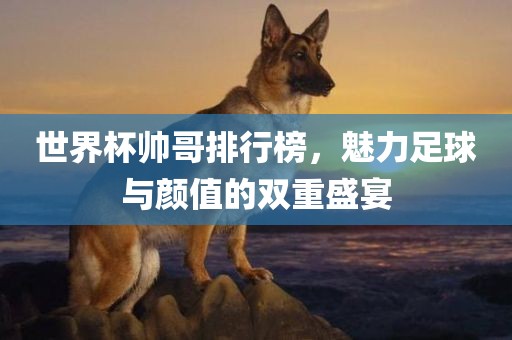 世界杯帅哥排行榜广西贺州市华昌新材料有限公司，魅力足球与颜值的双重盛宴