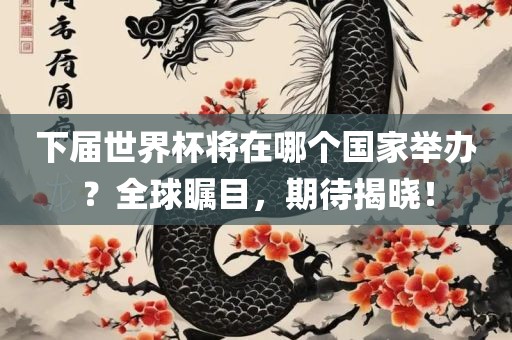 下届世界杯将在哪个国家举办？全球瞩目，期待揭晓！