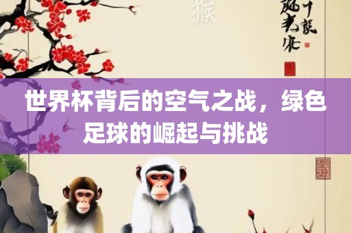 世界杯背后的空气之战，绿色足球的崛起与挑战广西贺州市华昌新材料有限公司