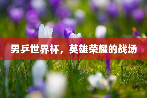 男乒世界杯，英雄荣耀的战场