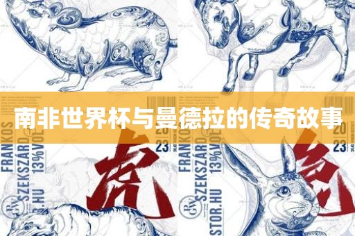 南非世界杯与曼德拉的传奇故事广西贺州市华昌新材料有限公司