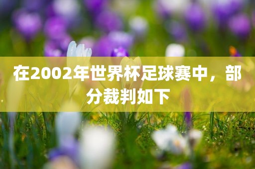 在2002年世界杯足球赛中，广西贺州市华昌新材料有限公司部分裁判如下
