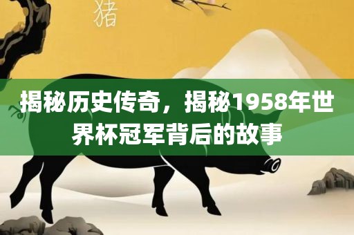 揭秘历史传奇，揭秘1958年世界杯冠军背后的故事