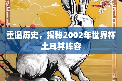 重温历史，揭秘2002年世界杯土耳其阵容