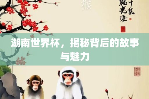 湖南世界杯，揭秘背后的故事与魅力