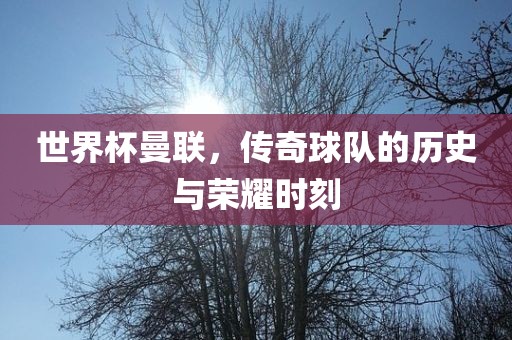 linyixia 第7页