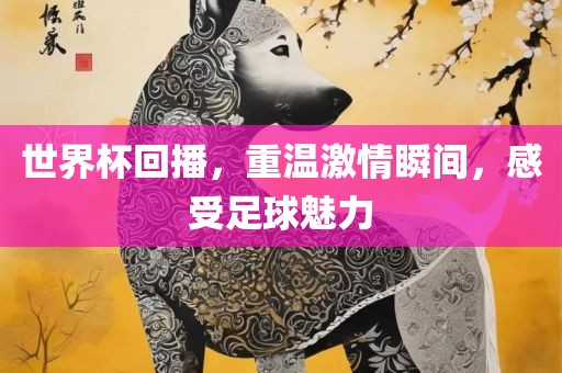 足球魅力 第3页