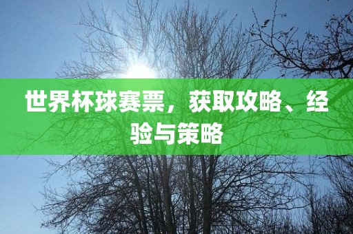 世界杯球赛票，获取攻略、经验与策略广西贺州市华昌新材料有限公司