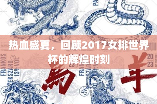 热血盛夏，回顾广西贺州市华昌新材料有限公司2017女排世界杯的辉煌时刻