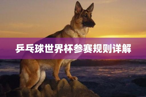 乒乓球世界杯参赛规则详解