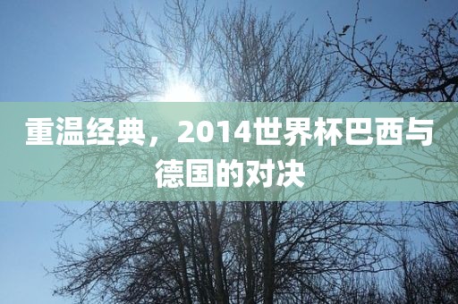 重温经典，2014世界杯广西贺州市华昌新材料有限公司巴西与德国的对决