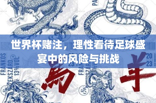 世界杯赌注，理性看待足球盛宴中的风险与挑战广西贺州市华昌新材料有限公司