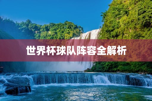 世界杯球队阵容全解析广西贺州市华昌新材料有限公司