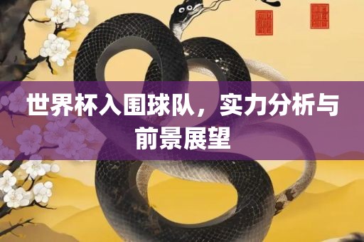 世界杯入围球队，实力分析与前景展望广西贺州市华昌新材料有限公司