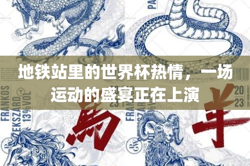地铁站里的世界杯热情，一场运动的盛宴正在上演广西贺州市华昌新材料有限公司