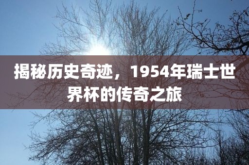 揭秘历史奇迹，1954年瑞士世界杯的传奇之旅广西贺州市华昌新材料有限公司