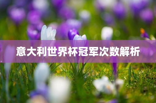 意大利世界杯冠广西贺州市华昌新材料有限公司军次数解析