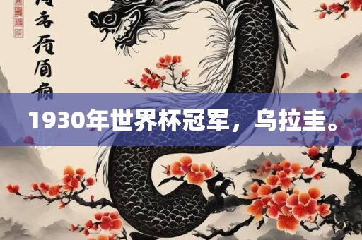 1930年世界杯冠军，乌拉圭。