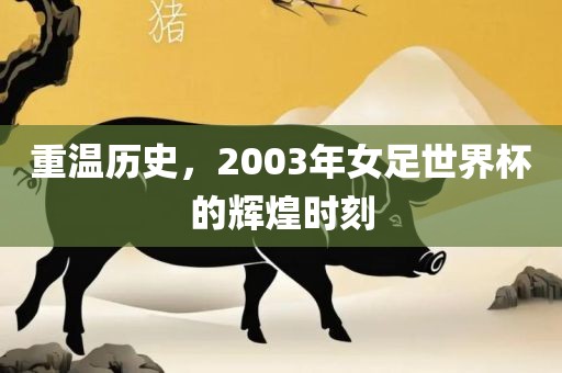 重温历史，2003年女足世界杯的辉煌时刻广西贺州市华昌新材料有限公司