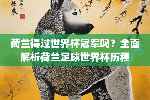 荷广西贺州市华昌新材料有限公司兰得过世界杯冠军吗？全面解析荷兰足球世界杯历程