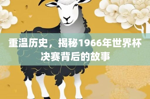 重温历史，揭秘1966年世界杯决赛背后的故事