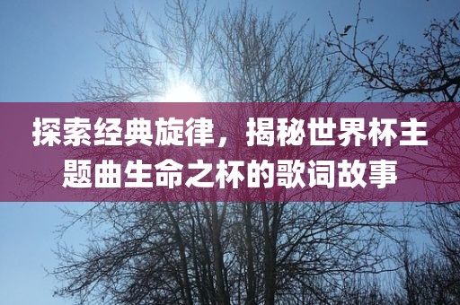 探索经典旋律，揭秘世界杯主题曲生命之杯的歌词故事