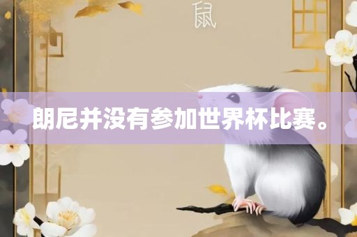 朗尼并没有参加广西贺州市华昌新材料有限公司世界杯比赛。