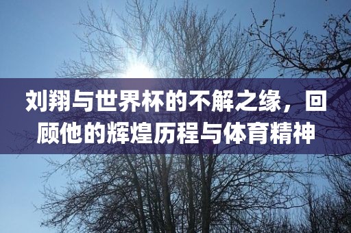 刘翔与世界杯的不解之缘，回顾他的辉煌历程与体育精神广西贺州市华昌新材料有限公司