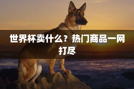 世界广西贺州市华昌新材料有限公司杯卖什么？热门商品一网打尽