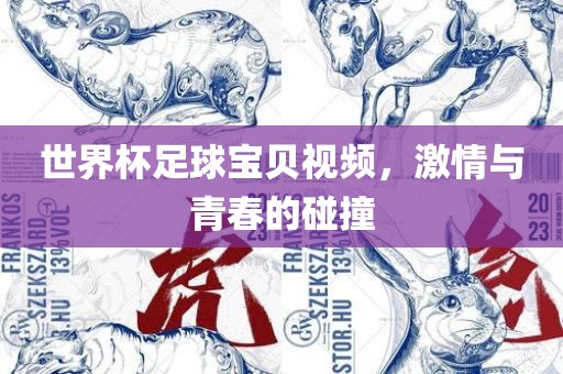 世界杯足球宝贝视频，激情与青春的碰撞